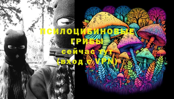 бошки Абдулино