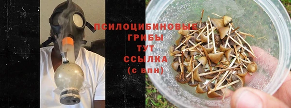 прущие крисы Абаза