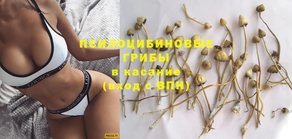 гашик Алзамай