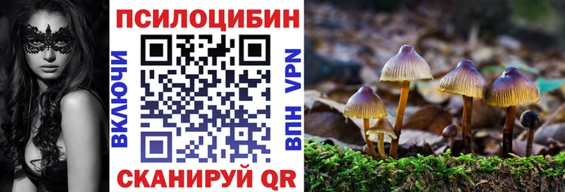 blacksprut ONION  Ильский  Псилоцибиновые грибы ЛСД  купить наркотики сайты 